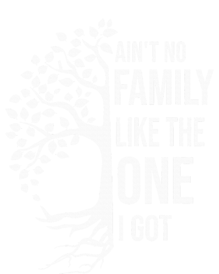 AinT No Family Like The One I Got T-Shirt