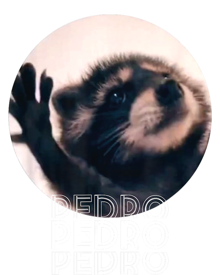 Pedro Racoon Dance Popular Internet Meme Mapache Dance T-Shirt