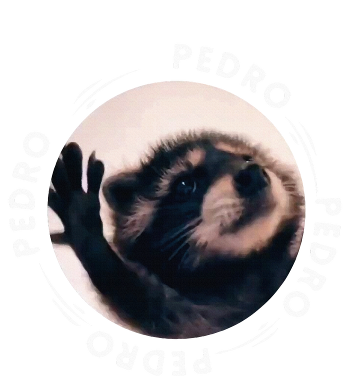 Pedro Dancing Raccoon Pedro Pedro Dancing Raccoon Meme Funny T-Shirt