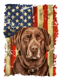 Retro Chocolate Lab With Usa Flag Gift Chocolate Lab Dad Mom Aluminum Water Bottle