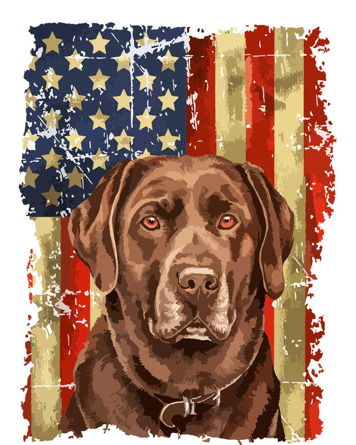 Retro Chocolate Lab With Usa Flag Gift Chocolate Lab Dad Mom Aluminum Water Bottle