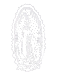 Ave Maria Virgin Mary Our Lady Of Guadalupe Marian T-Shirt