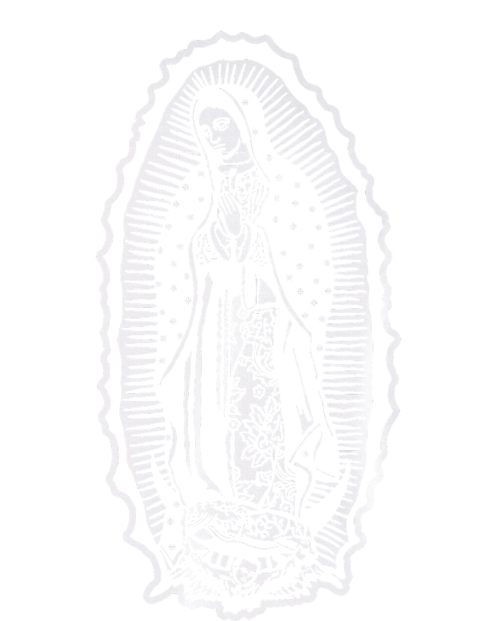 Ave Maria Virgin Mary Our Lady Of Guadalupe Marian T-Shirt