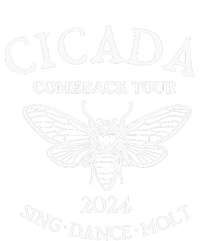 Cicada 2024 Cicada Reunion Funny Cicada Concert T-Shirt