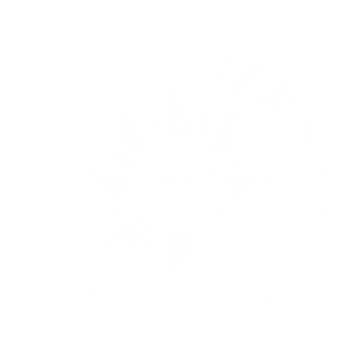 Funny Sun Moon Astrology Astronomer Astronomy Gift T-Shirt