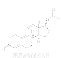 Trenbolone Steroid Molecule Hardcore Bodybuilding Kids Sweatshirt