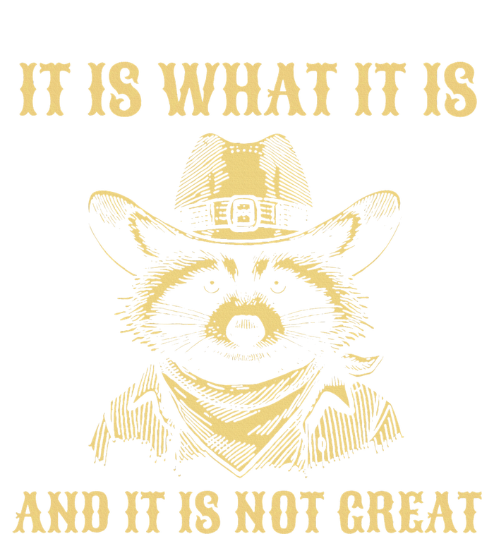 It Is What It Is And Its Not Great Funny Raccoon T-Shirt