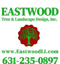 Eastwood Tree And Landscape T-Shirt