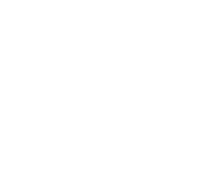 United Nations Flag Un United Nations Emblem Gift T-Shirt