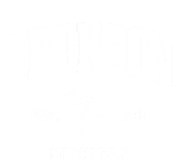 Bronson Michigan Mi Vintage Athletic Sports Sustainable Knit Beanie