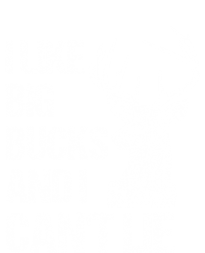 I Like Big Bucks And I Cannot Lie Funny Deer Hunting Father Gift Women's V-Neck T-Shirt