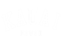 Kauai Aloha Hawaii Tribe Beach Gift T-Shirt