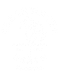 Retro Cool Clearwater Beach Original Florida Beach Palm Tree Gift T-Shirt