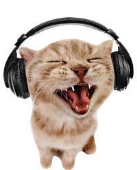 Silly Cat With Headphones T-Shirt