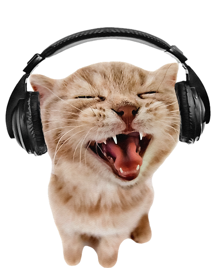 Silly Cat With Headphones T-Shirt