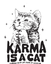 Karma Is A Cat Shirts Taylor Eras Cat Lover Sustainable Bucket Hat