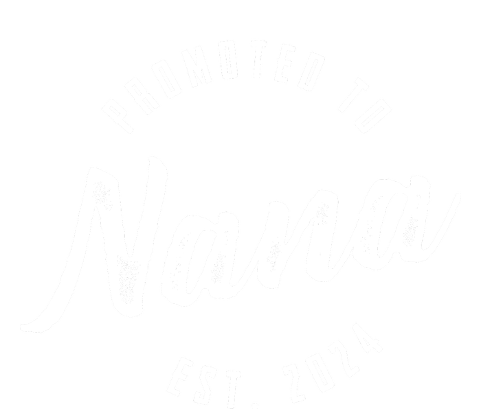 Promoted To Nana Again Est 2024 Pregnancy Announcement T-Shirt