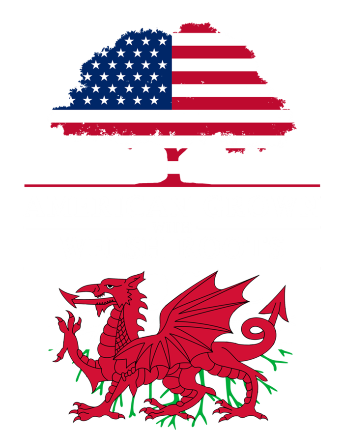 American Grown With Welsh Roots Wales Gift Long Sleeve Shirt