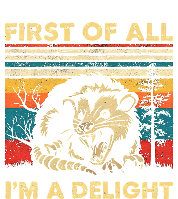 First Of All IM A Delight Sarcastic Angry Opossum Possum Womens Cotton Relaxed Long Sleeve T-Shirt