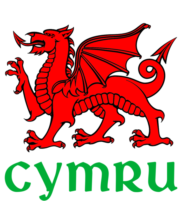 Cymru Welsh Pride Gift Red Dragon Of Wales Flag Funny Gift T-Shirt