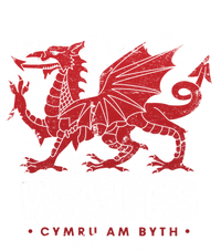 Wales Flag Welsh Dragon Baner Cymru Am Byth Welsh Gift Kids Long Sleeve Shirt