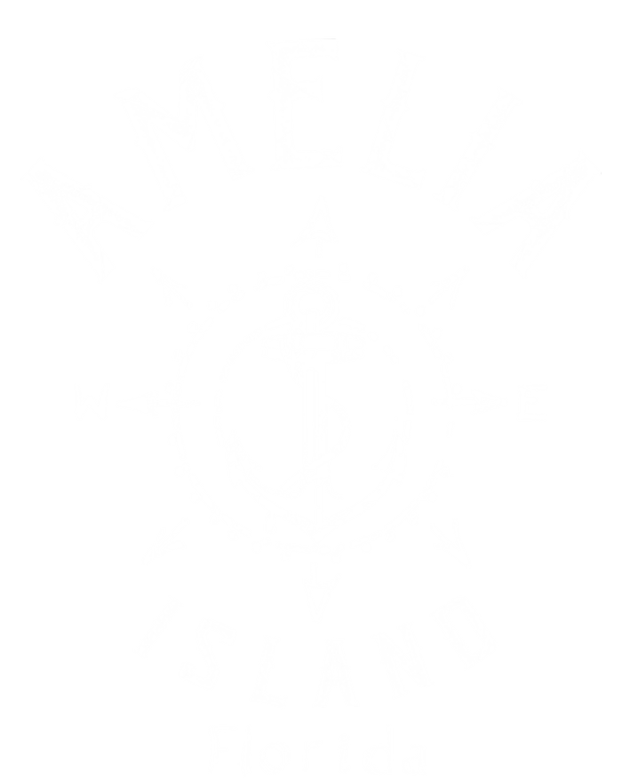 Amelia Island Compass Rose Florida Cute Gift T-Shirt