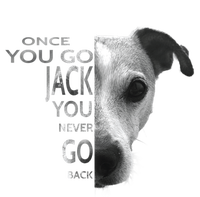 Once You Go Jack Russell Terrier Cute Gift Dog Lover Gift Funny Gift Baby Bodysuit