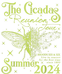 The Cicada Reunion U.S 2024 Cicada Concert Fest Lover Women's Perfect Tri Tunic Long Sleeve Shirt