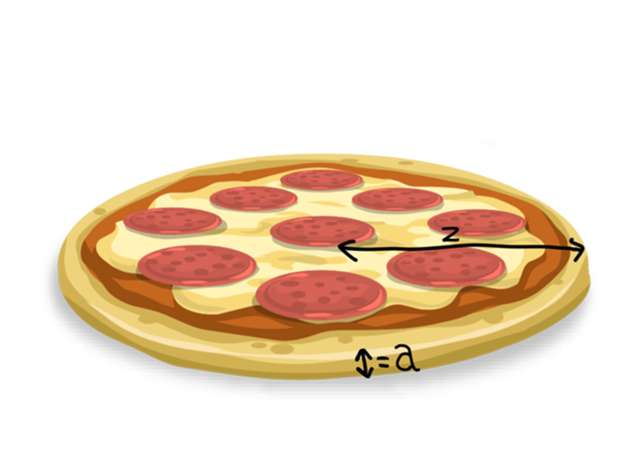 Volume Of Pizza Funny Math Gift 16 in Basic Backpack