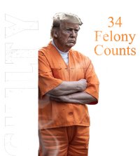 Donald Trump Is Guilty 34 Felony Counts Hooded Wearable Blanket