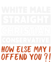 White Male Straight Christian Conservative How Else Can I Sweatshirt