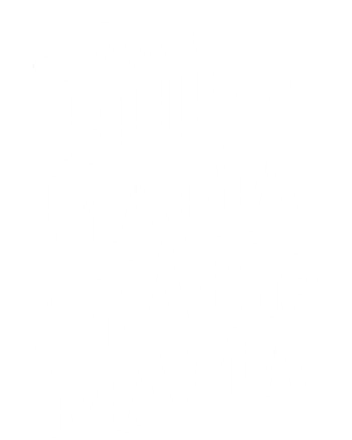 From Fur Mama To Mama Dog Cat Owner New Mom Pregnant Funny Gift T-Shirt