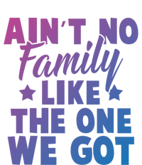 Family Reunion Family Connection No Family Like One We Got Funny Gift Women's T-Shirt