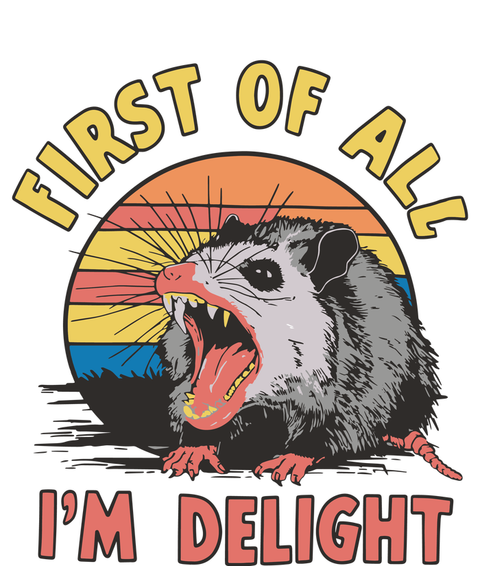 Funny First Of All Im A Delight Possum Meme Women's Pullover Hoodie