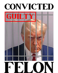 Convicted Felon Donald Trump Guilty Lock Him Up Trump T-Shirt