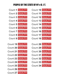 Guilty On All 34 Counts Kids Hoodie