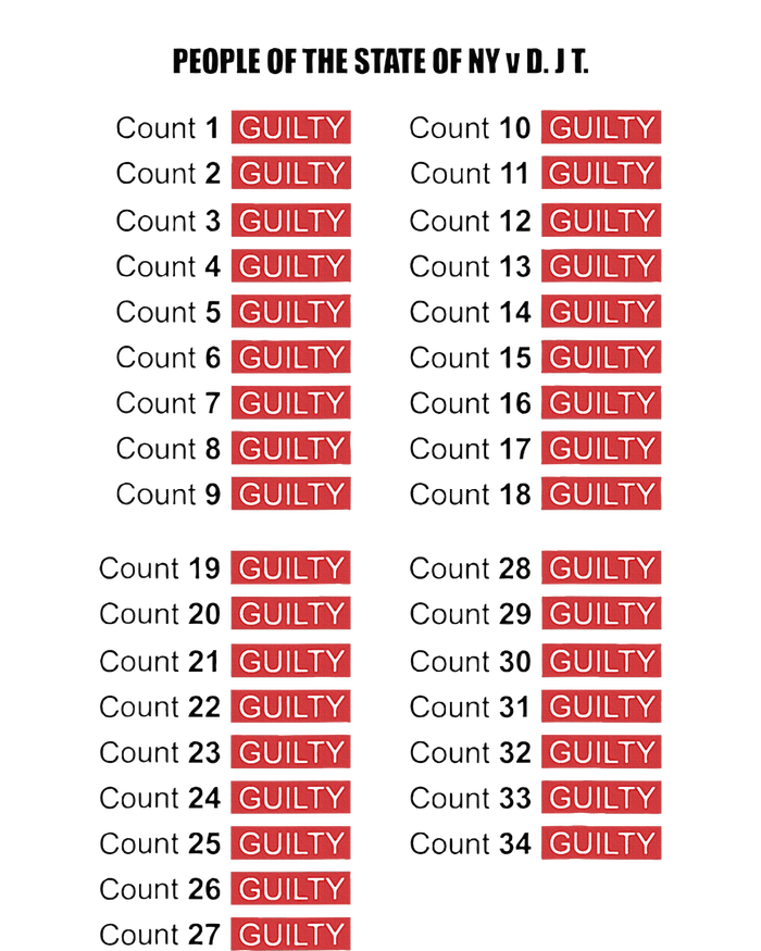 Guilty On All 34 Counts Kids Hoodie