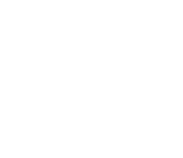 Denali Park Alaska Ak Vintage Sports V-Neck T-Shirt