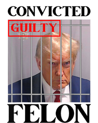 Convicted Felon Donald Trump Guilty Lock Him Up Trump Prison T-Shirt