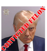 Trump Convicted Felon Canvas