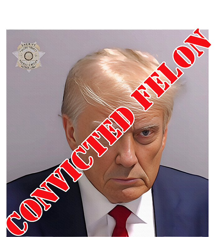 Trump Convicted Felon Canvas