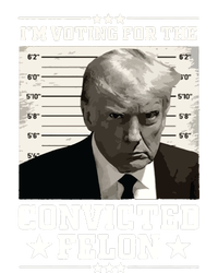 Vote For The Felon Trump 2024 Bumper Sticker