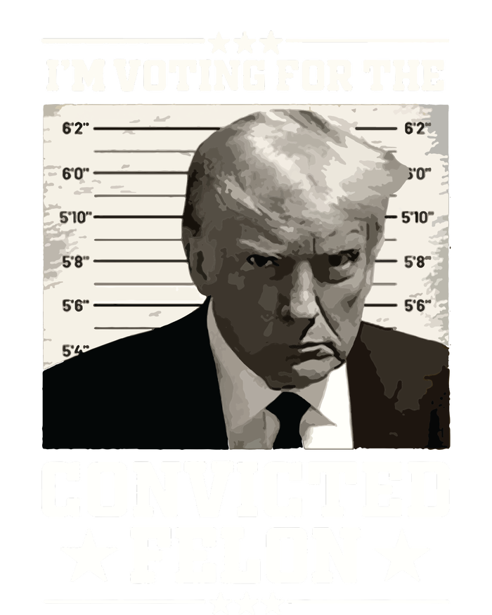 Vote For The Felon Trump 2024 Bumper Sticker