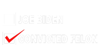 Joe Biden Vs Convicted Felon Funny Ballot Paper Voting Humor T-Shirt