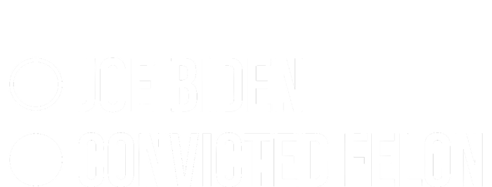 Joe Biden Vs Convicted Felon Funny Ballot Paper Voting Humor T-Shirt