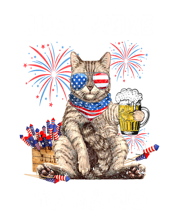 Funny Beer 4th Of July Cat Lover Just Here To Bang Usa Flag Gift Ladies Long Sleeve Shirt