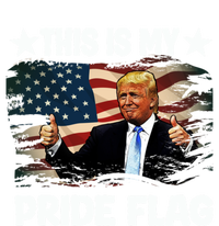 Trump 2024 Convicted Felon This Is My Pride Flag Gift 16 in Basic Backpack