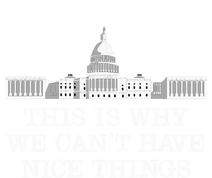 This Is Why We Can’T Have Nice Things Congress Performance Fleece Hoodie