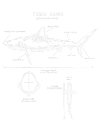 Tiger Shark Anatomy Marine Biologist T-Shirt