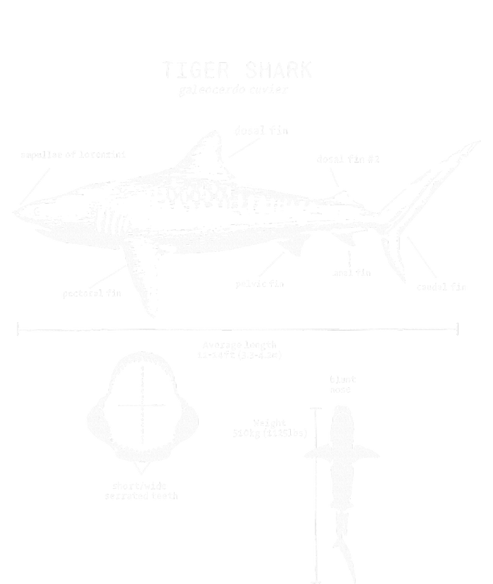 Tiger Shark Anatomy Marine Biologist T-Shirt